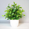 Artificial Desktop Plant