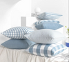 Blue Checkered Cushion Covers