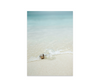 Tropical Summer Beach Print Wall Art