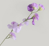 Artificial Sweet Pea Flower