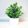 Artificial Desktop Plant