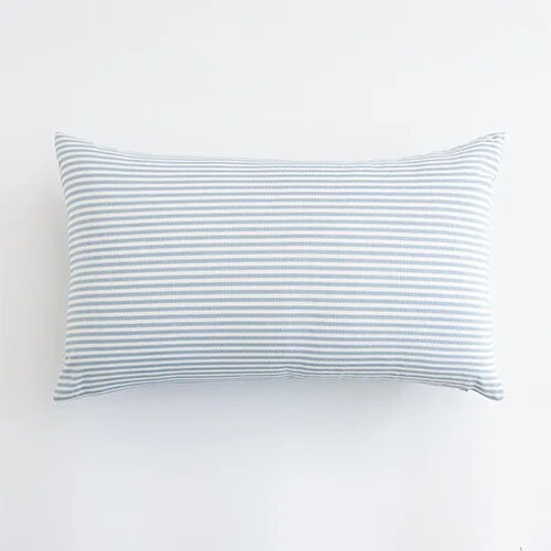 Blue Checkered Cushion Covers