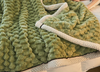 Coral Fleece Plush Blanket
