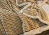 Coral Fleece Plush Blanket