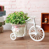 White Bicycle Flower Holder