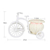 White Bicycle Flower Holder