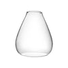 Transparent Glass Vases