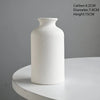 Essence Ceramic Vase