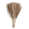 Artificial Pampas Grass Long Stem Bouquet