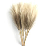 Artificial Pampas Grass Long Stem Bouquet