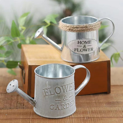 Iron Watering Can Plant Pot