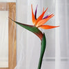 Artificial Strelitzia Birds of Paradise Stems (Set of 3)