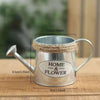 Iron Watering Can Plant Pot