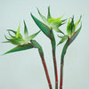 Artificial Strelitzia Birds of Paradise Stems (Set of 3)
