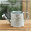 Iron Watering Can Plant Pot