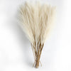 Artificial Pampas Grass Long Stem Bouquet