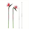 Artificial Strelitzia Birds of Paradise Stems (Set of 3)
