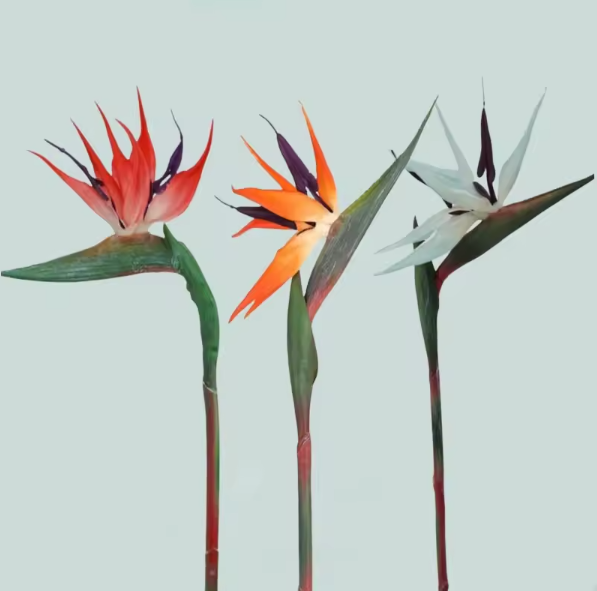 Artificial Strelitzia Birds of Paradise Stems (Set of 3)