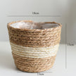 Woven Straw Flower and Plant Pot