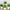 Artificial Desktop Plant