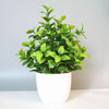 Artificial Potted Desktop Plant