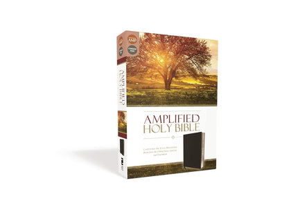 Amplified Holy Bible – Black Letter Edition