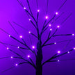 Birches Tabletop LED Light Tree