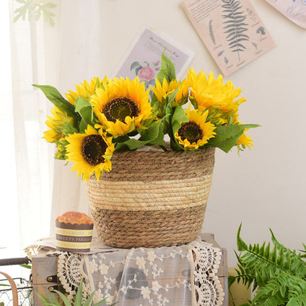 Woven Straw Flower and Plant Pot