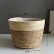 Woven Straw Flower and Plant Pot