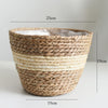 Woven Straw Flower and Plant Pot