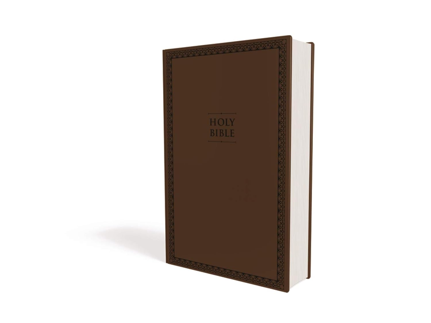 NIV Value Thinline Bible – Large Print, Brown (Black Letter Edition)
