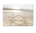 Beige Coastal Lifestyle Print Wall Art