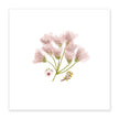 Light Apricot Nursery Printed Wall Art