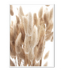 Beige Flower Reed Printed Wall Art