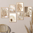 Beige Flower Reed Printed Wall Art