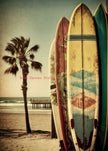 Surfing Paradise Printed Wall Art