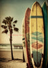 Surfing Paradise Printed Wall Art