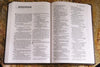 NIV Value Thinline Bible – Large Print, Brown (Black Letter Edition)