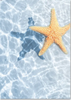 Blue Sky Coastal Printed Wall Art