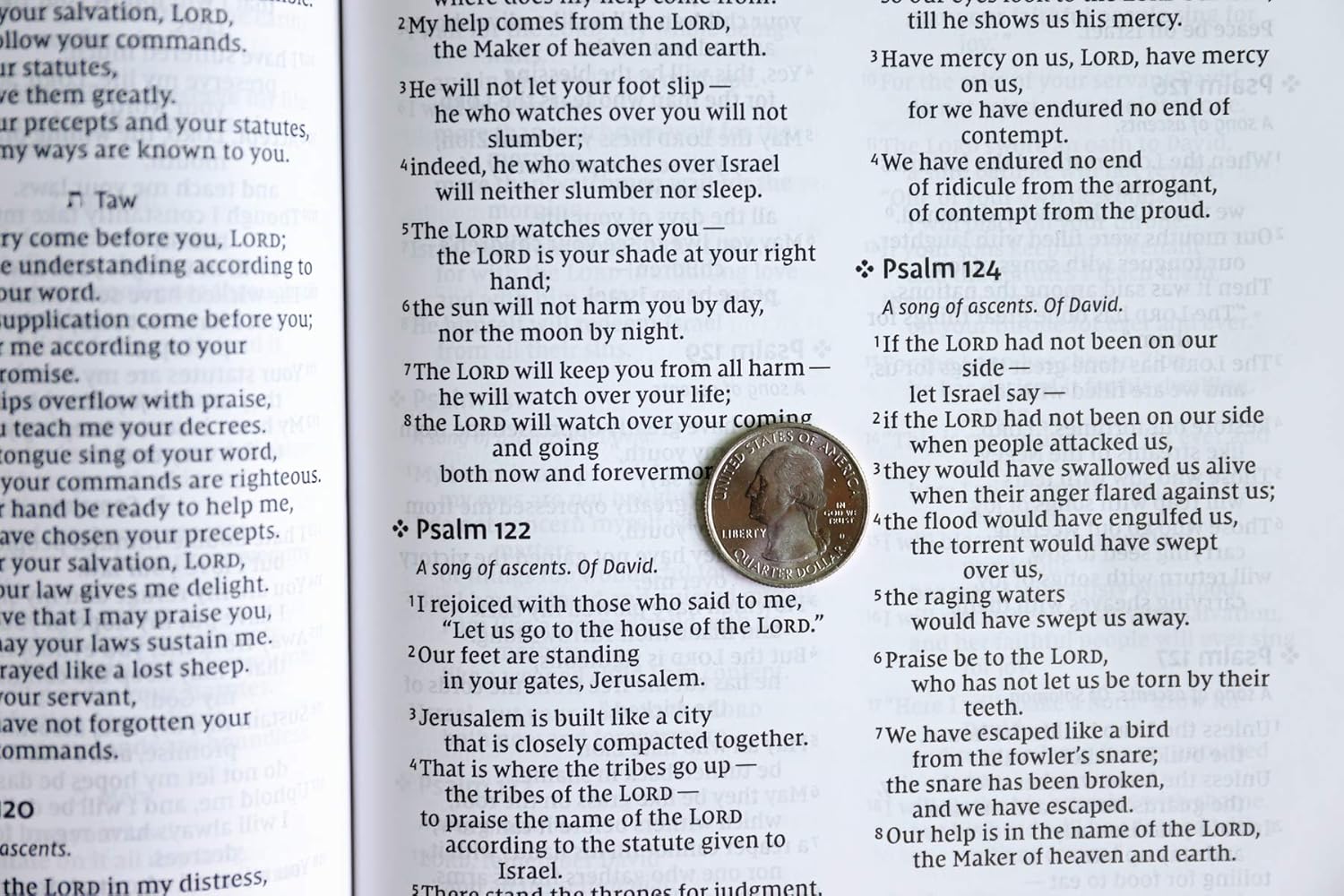 NIV Value Thinline Bible – Teal (Black Letter Edition)