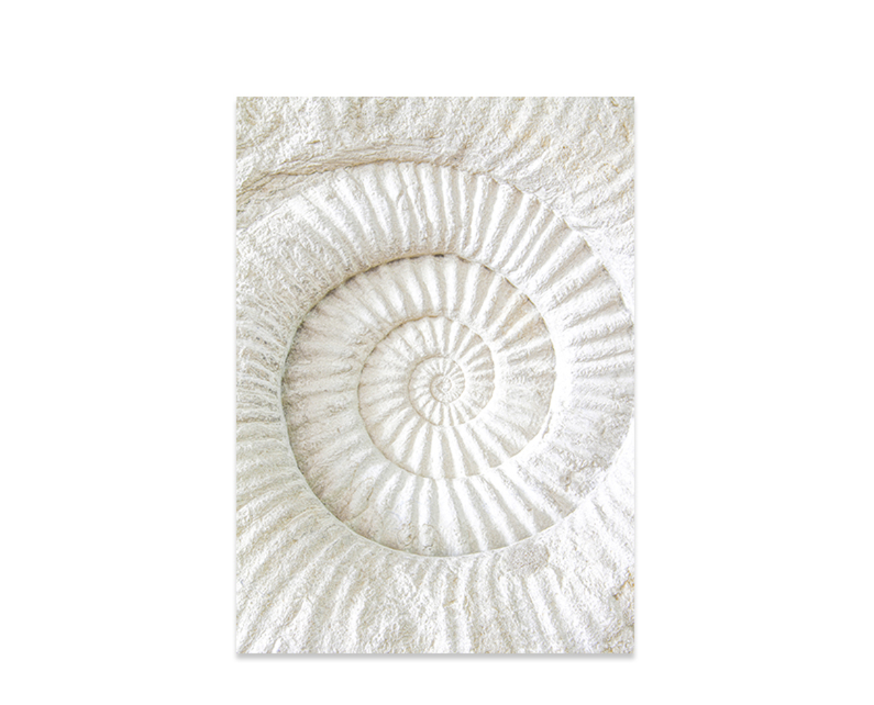 Tropical Summer Beach Print Wall Art