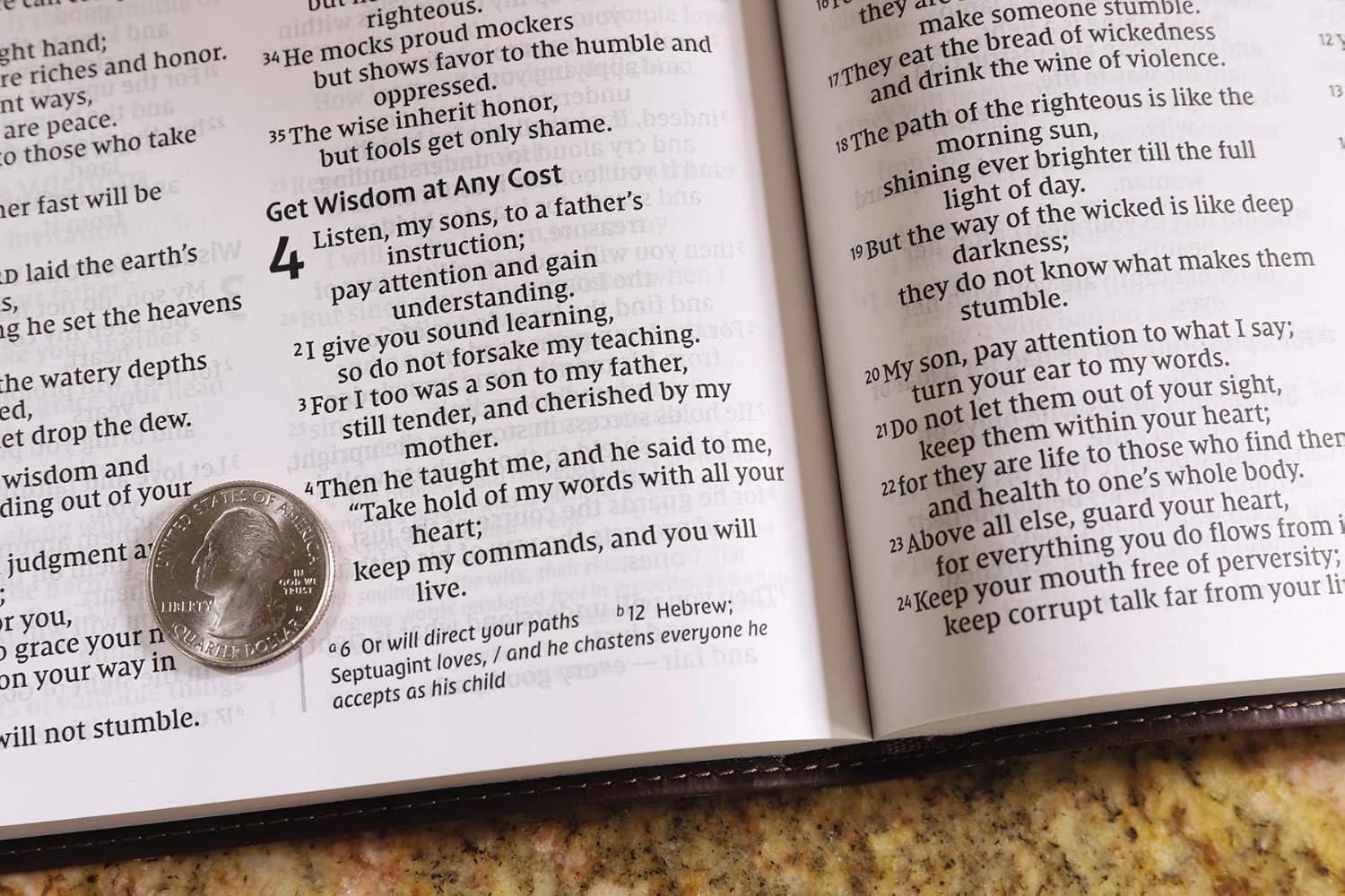 NIV Value Thinline Bible – Large Print, Brown (Black Letter Edition)