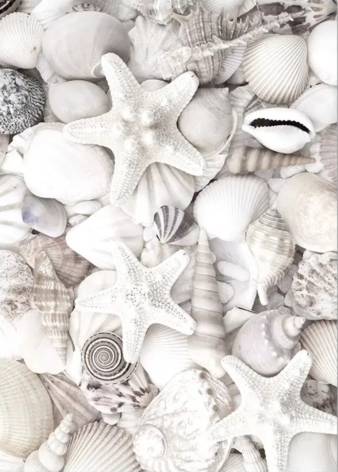 Blue Sky Coastal Printed Wall Art