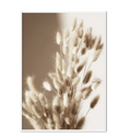 Beige Flower Reed Printed Wall Art