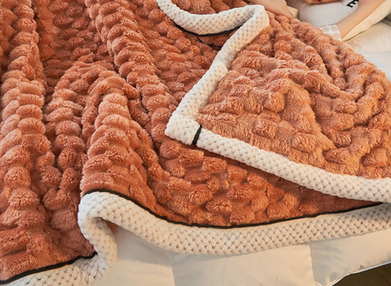 Coral Fleece Plush Blanket