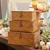 Rustic All-Purpose Woven Storage Box