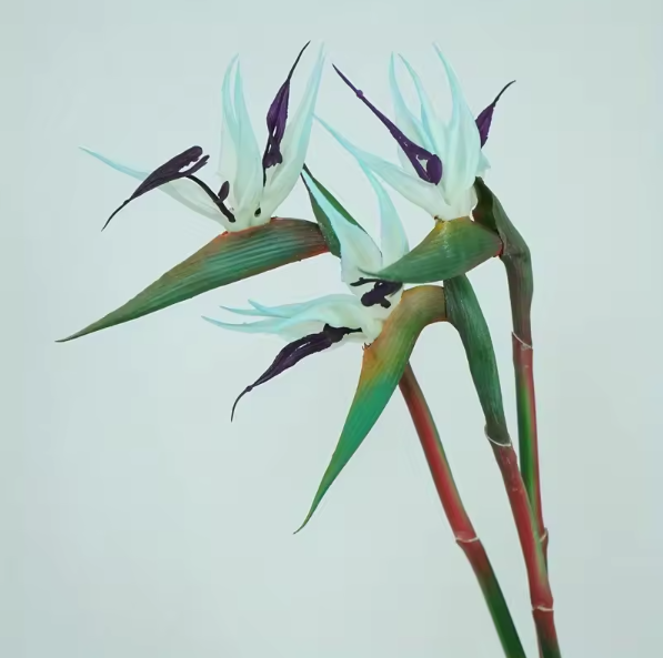 Artificial Strelitzia Birds of Paradise Stems (Set of 3)