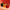Capsicum Glazed Ornament
