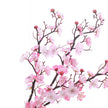 Artificial Plum Blossom Flower Plants