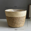 Woven Straw Flower and Plant Pot